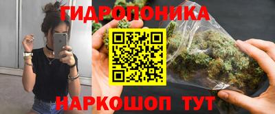 стафф Лесосибирск