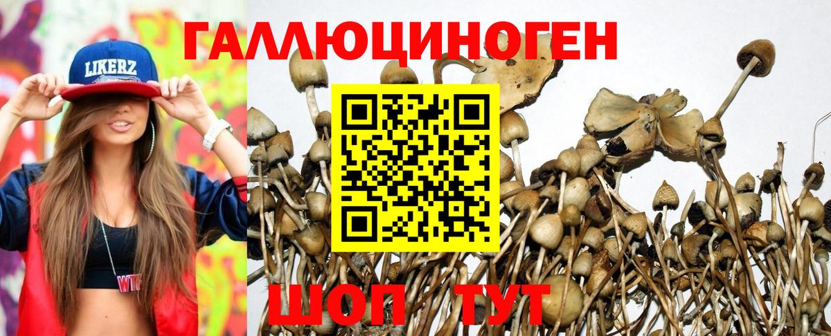 Дедовск  Галлюциногенные грибы MAGIC MUSHROOMS  Вход с VPN 