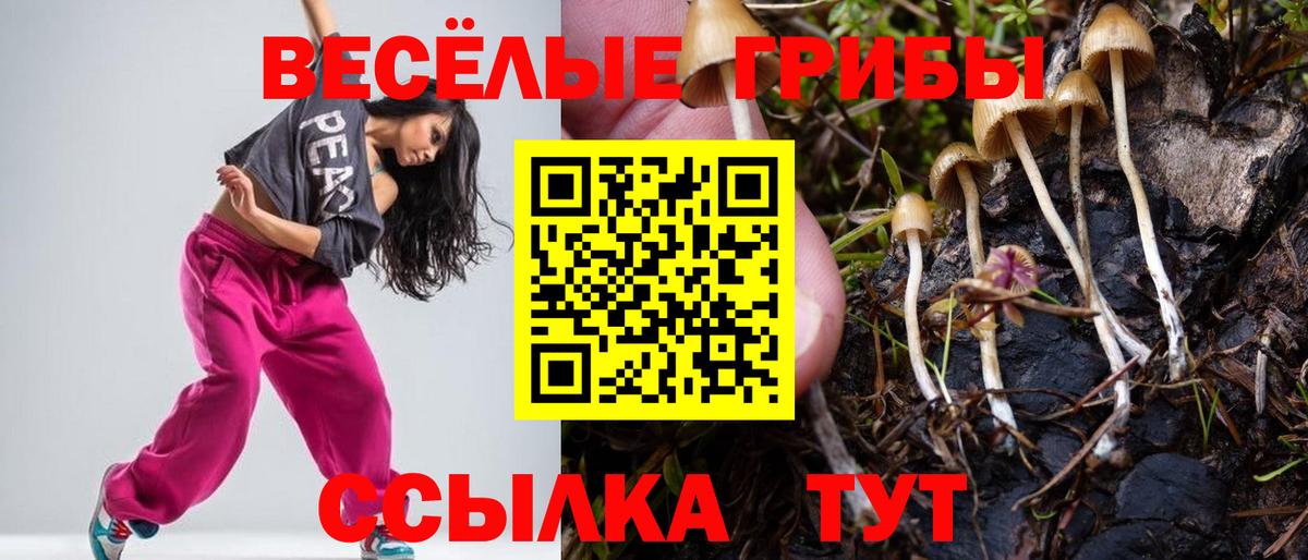 Галлюциногенные грибы прущие грибы Дедовск